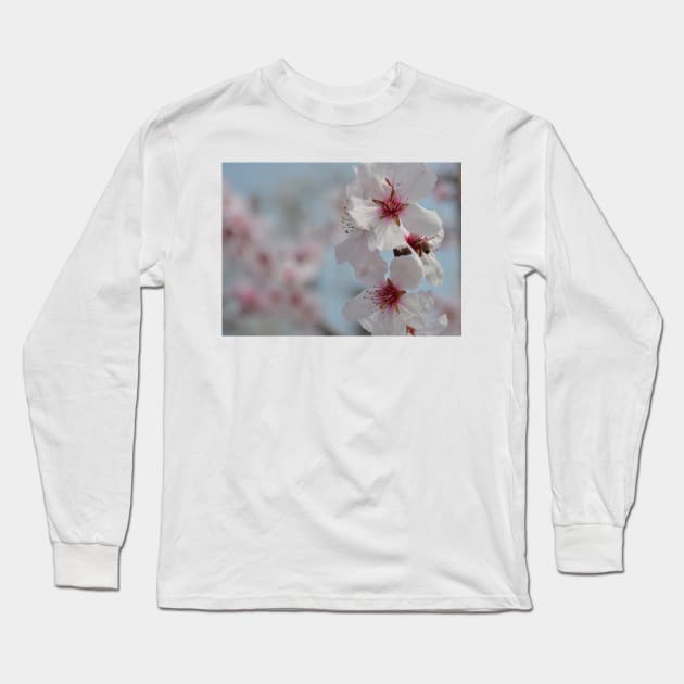Bee in Almond Flower Long Sleeve T-Shirt by jojobob